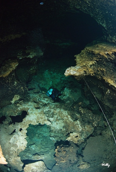 Florida-Ginnie Springs 033 (2)